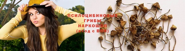 гашишное масло Балабаново